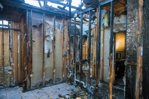 Professional Smoke Damage Removal technician working in Old Orchard, PA
